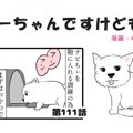 ちーちゃんですけど…