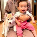 『小さくて可愛い赤…