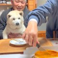 犬を交えて『おじい…