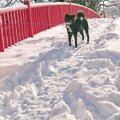 「通りたければ我々…