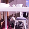 愛犬と世界一の朝食…