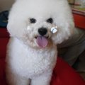 ハンドシャイはここ…