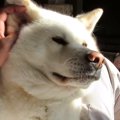 ラブラブ♪体は大きく…