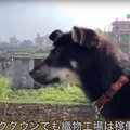 【ネパール】日本で…