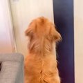 ドアの前でソワソワ…