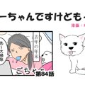 ちーちゃんですけどもっ【第84話】「大掃除」