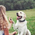 犬が『幸せ』を感じ…