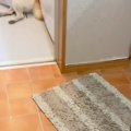 雷が鳴り響く日→『犬…