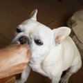 うまっ、うまっ♡新し…