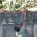 小犬が水路に落ちた…