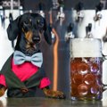 オレゴン州〜保護犬…