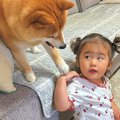 2歳の女の子がおもち…