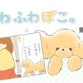 ふわふわぽこ。【第1…
