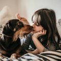 犬が飼い主を慰めて…