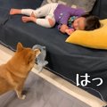 眠っている妹を起こ…