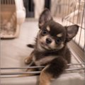 「どしたん？」頼も…