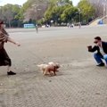 公園でおじいちゃん…