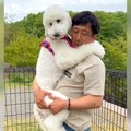 犬と初めてドッグラ…