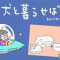 犬と暮らせば【第393…