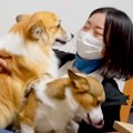 ママが帰省のため不…