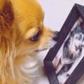 『18歳で亡くなった…