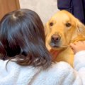 女の子が『大型犬の…