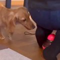 知らない人の足元に…