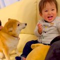 孫と息子が家に遊び…
