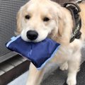「いつでも買い物で…