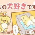 ただの犬好きです。…