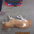 激しい痛みで道端に…