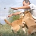 【保護犬の楽園】腕…
