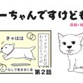 ちーちゃんですけど…
