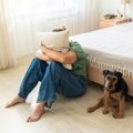 『飼い主のストレス…
