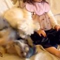女の子が『0歳の頃か…