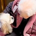 足腰の悪いおばあち…
