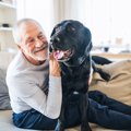 犬を飼うと『死亡リ…
