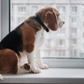 最新の研究から見え…
