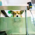 痛覚消失レベルでも…