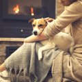 愛犬と『冬』を快適…