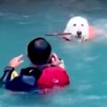 アウトドア中に川に…