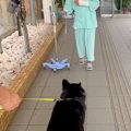 おばあちゃんが転倒…