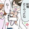 かわうそちわわ。（5…