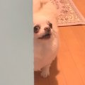 『お風呂入るね』と…
