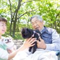 ドッグセラピストに…