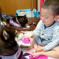 男の子が生まれてか…