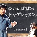 わんぱぱのドッグレ…