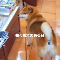 本屋さんで働く看板…