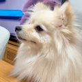 『暑いし、いつもよ…