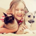犬派と猫派の違いっ…